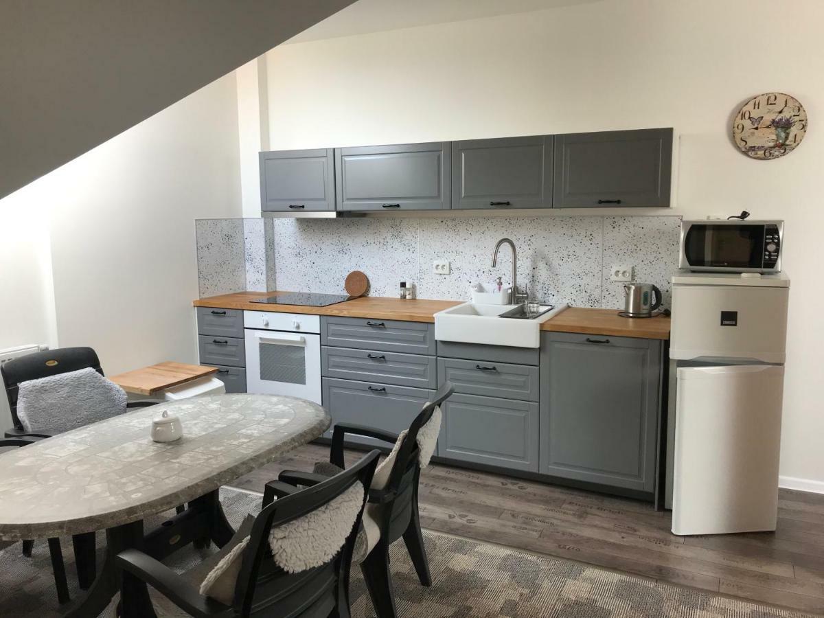 Rezidence Vestonice Apartment